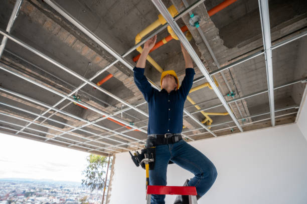 Best Same-Day Plumbing Service  in West Athens, CA